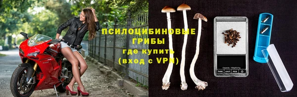 Альфа ПВП Куйбышев