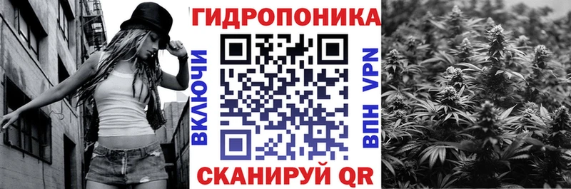 даркнет сайт  Кизилюрт  Бошки марихуана конопля 